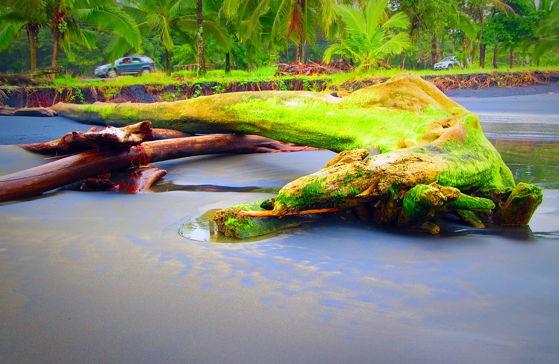 assistance beach